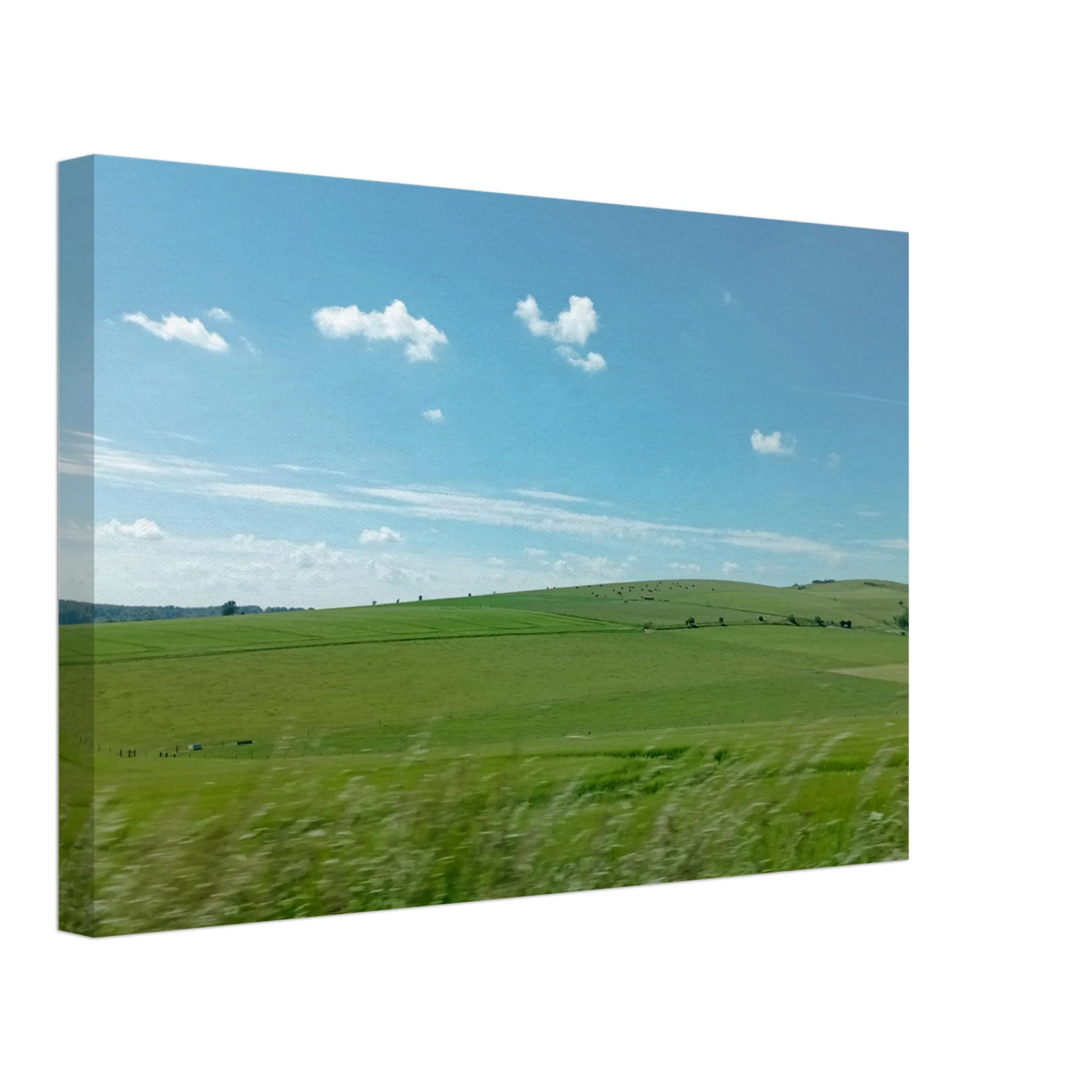 4e9b1371-38c2-4493-9f35-f24cfaeed344