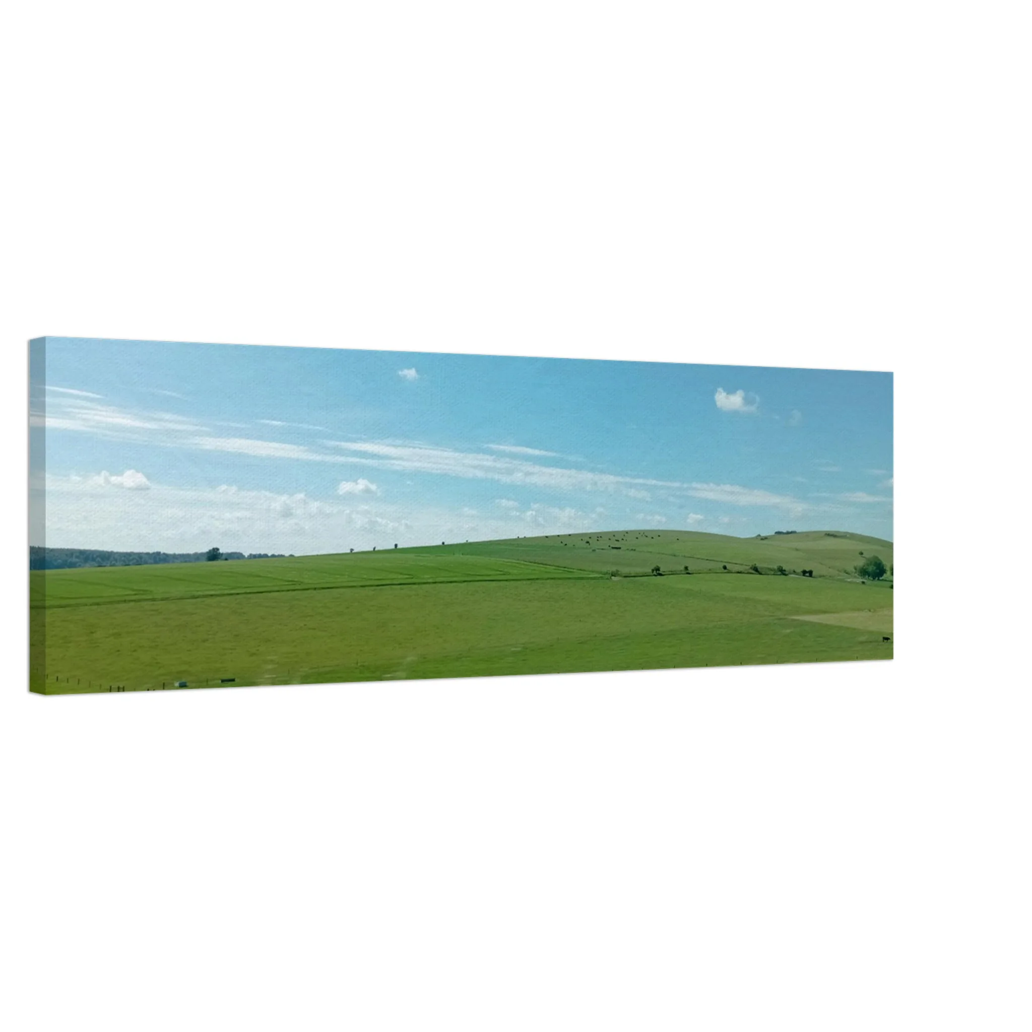 7703328f-e0e0-41e8-959b-a372e9af6478