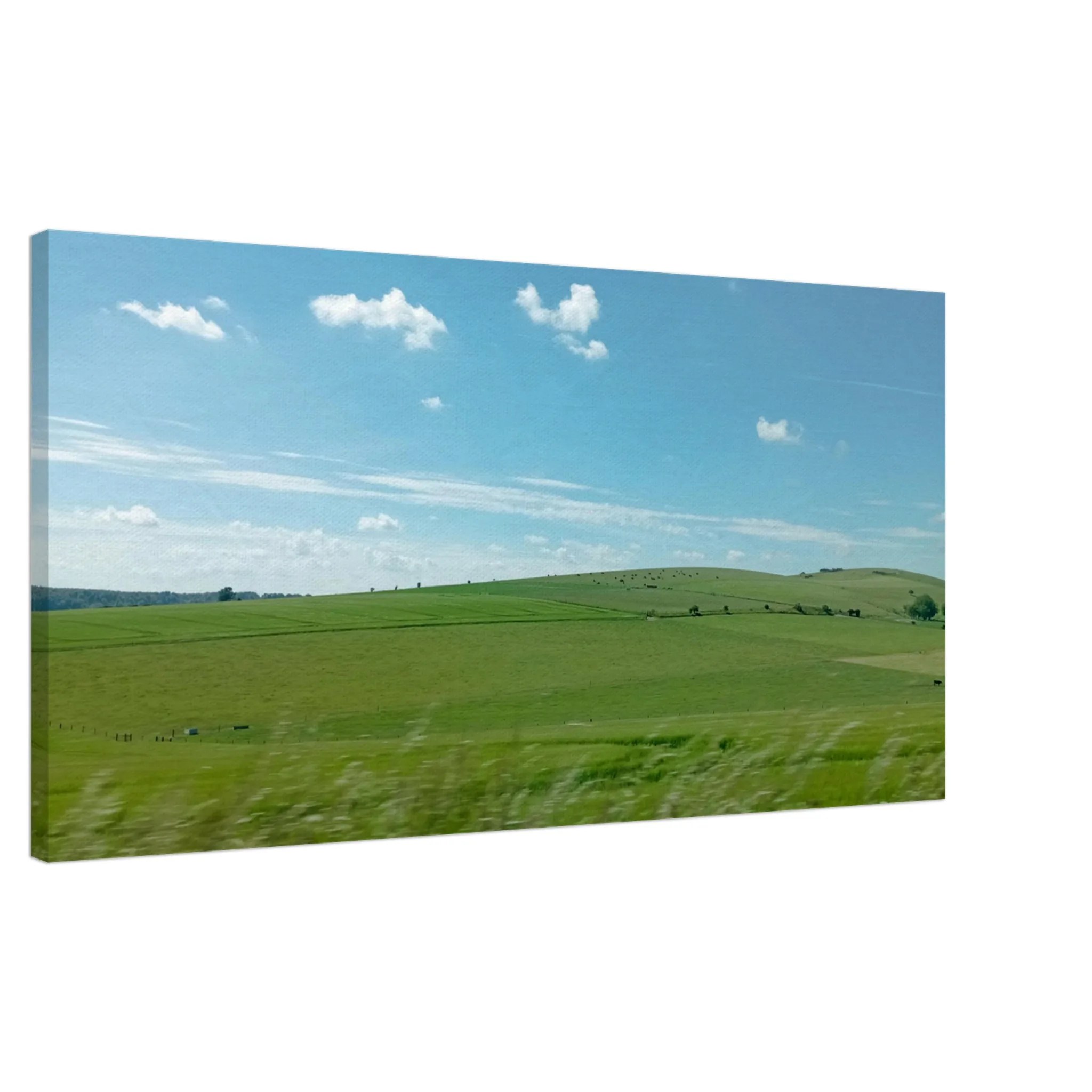 f50ea85b-d851-4c80-bec9-24c28a7ee382