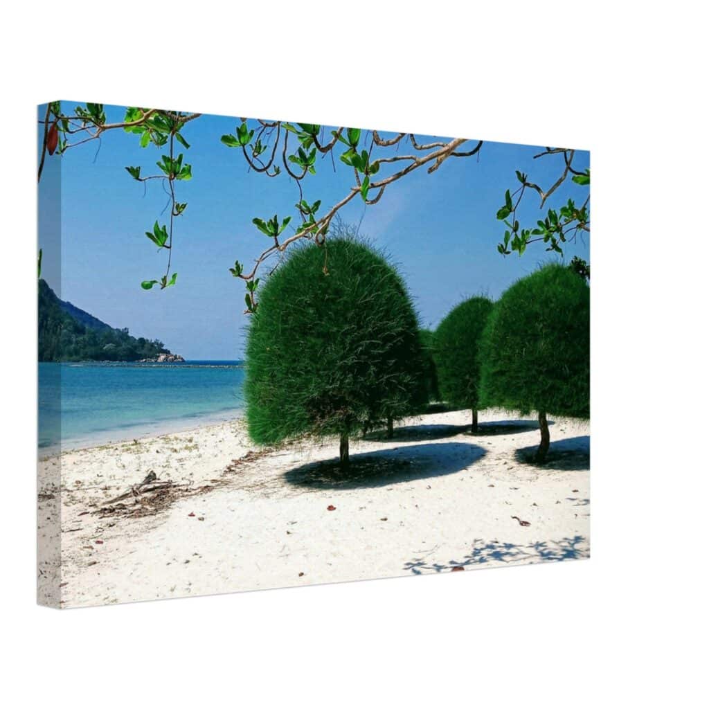 Tree Beach Koh Phangan Thailand Canvas