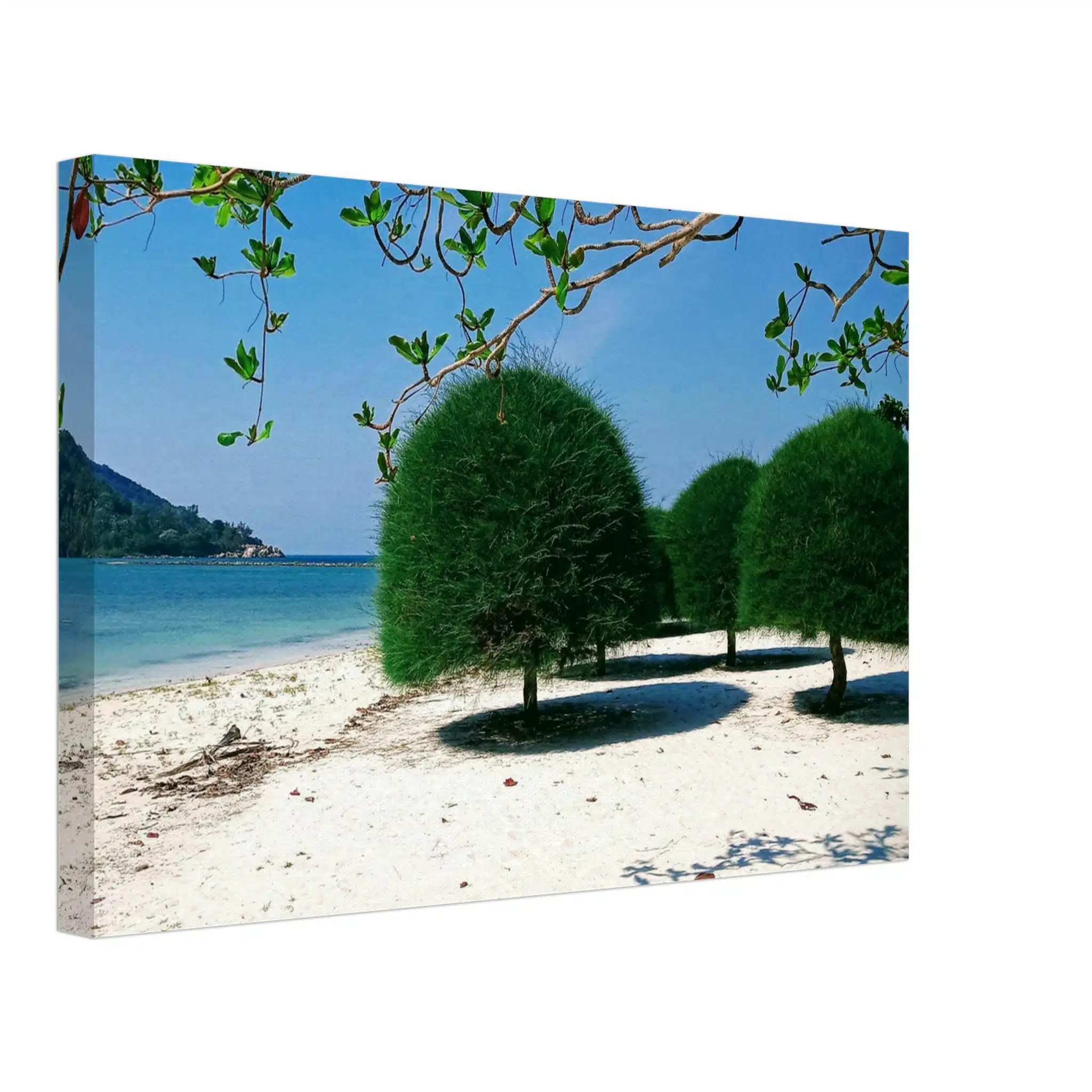 Tree Beach Koh Phangan Thailand Canvas